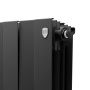 Купить Royal Thermo PianoForte 500 Noir Sable 4 секции